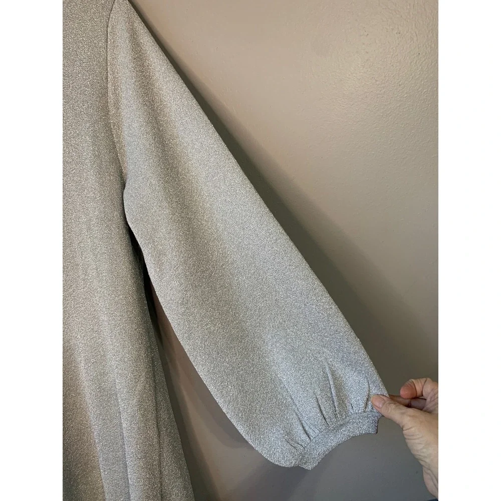 J.Crew Women's Silver Sparkle Twist-Back‎ Long Sleeve A-Line Dress XXL